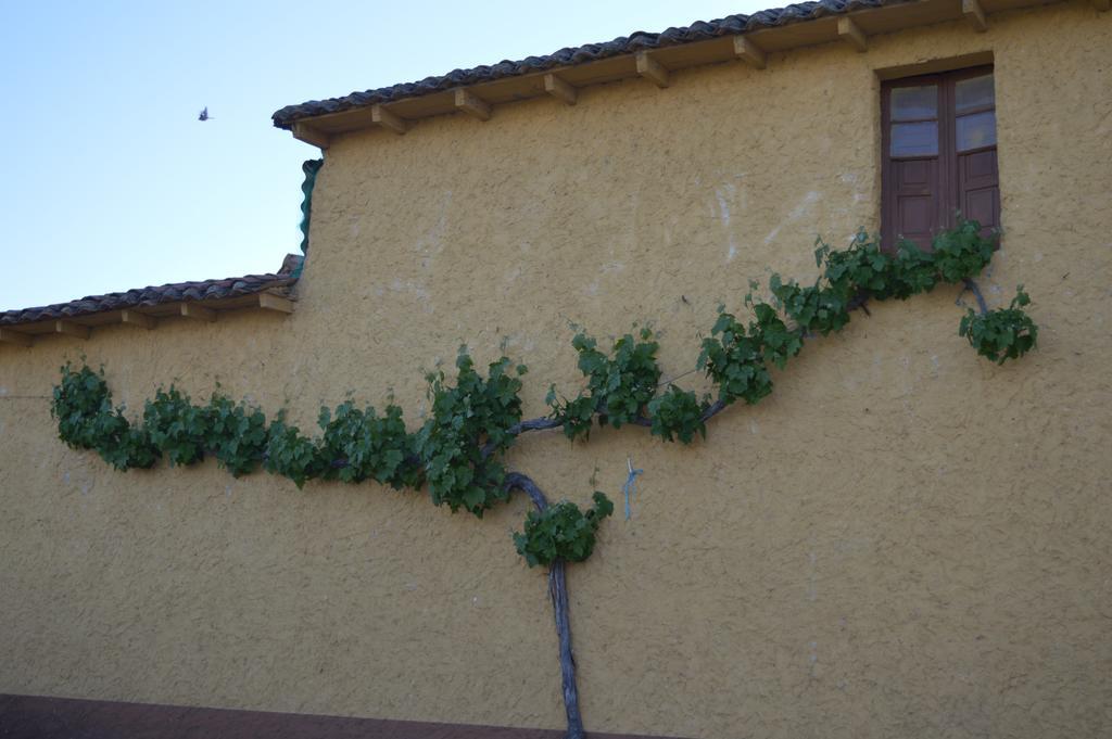 Casa Rural Los Lláganos Villaturiel Exterior foto